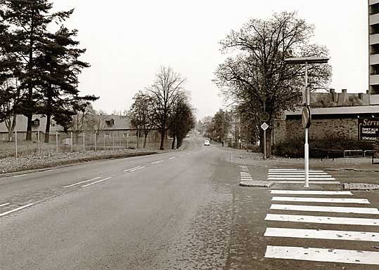 djur933