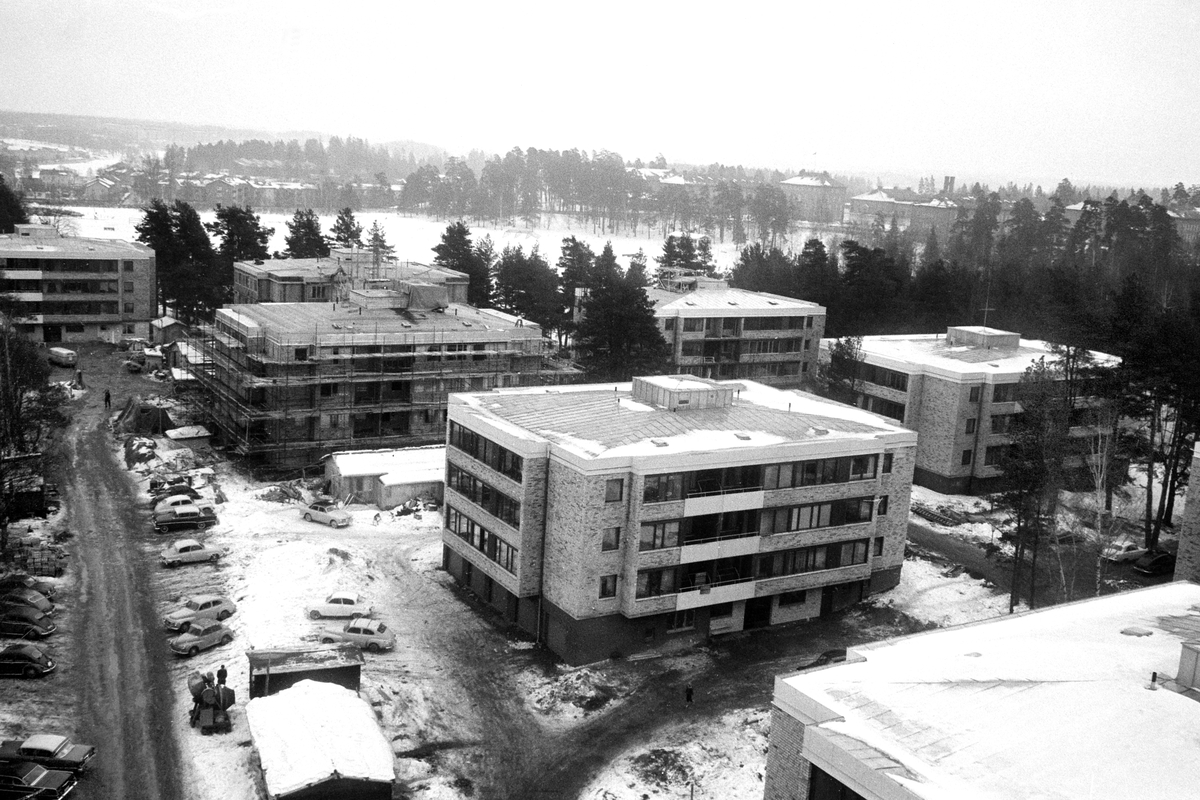 djur980